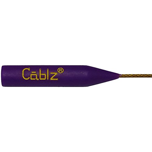 Cablz Zipz Colorz Eyewear Retainer, Purple and Gold with Gold Cable, One Size
