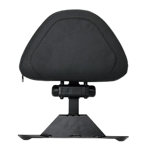 Coussin dossier arrière de conduite réglable moto pour BMW R1250GS LC ADV 1200 GS