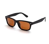 SomniLight FL-41 Outdoor Wayfarer