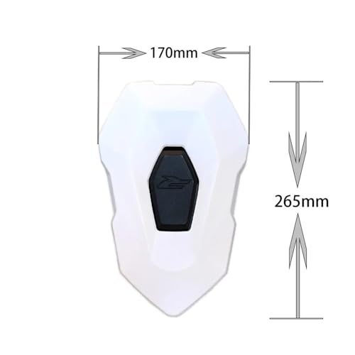 Capot selle carénage arrière S1000 R protection siège passager