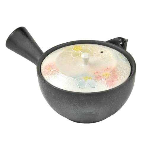 Kyusu Japanese Teapot 10.1fl oz Lusterware Splendor Ceramic Arita Ware Made in Japan