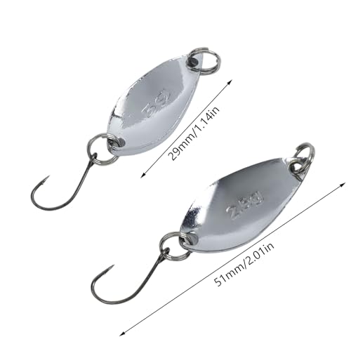 Leurres de pêche cuillère Dnyta pour attraper la truite et le bar - 2