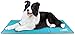 Toozey Alfombra Refrescante para Perro Gato Autoenfriamiento - Alfombra de Gel Activada por Presión para Perros Mediano/Grande, a Prueba de Arañazos/Impermeable/Antideslizante, Azul L(90*50cm)