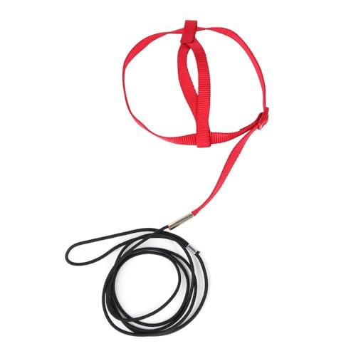 Image of Parrot Harness Leash, Anti Bite Bird Training Leash Adjustable Parrot Flying Rope for Parrot Budgerigar Lovebird Cockatiel