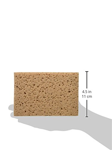 Lampa 37100 Spugna Lavaggio Auto, Marrone