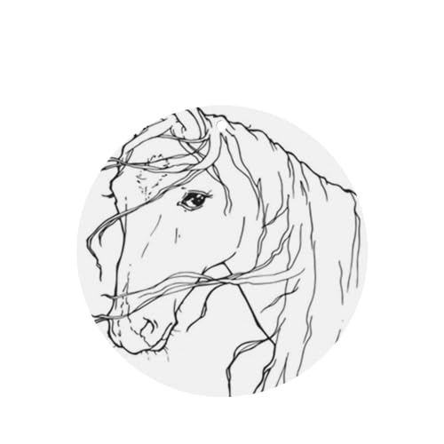 ݂艺ԗpF܃J[h 2pbN - ݂艺A}Zs[J[h (x_[̍) ԁA̐QA[h[uACȂǂɍœKBjZbNX (ñOtBbN̓hGё  l |pI )