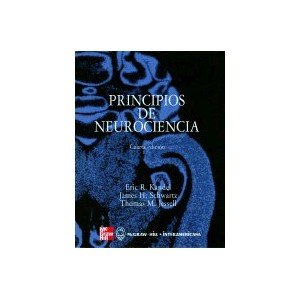 PRINCIPIOS NEUROCIENCIA-KANDEL (SIN COLECCION)