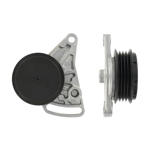 Galet tendeur de courroie SKF VKM31059 pour restaurer la direction assistée Audi A6 Avant