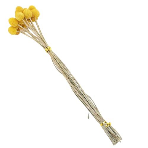 Ramo de flores secas Zerone diseño elegante para decoración miniatura 1