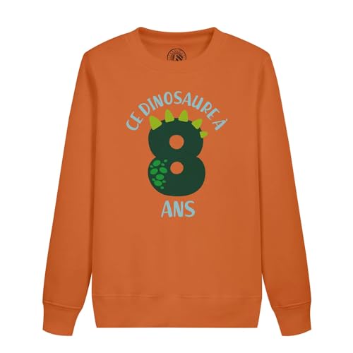 Sweat enfant dinosaure 8 ans parfait pour sa fête d'anniversaire à l'école