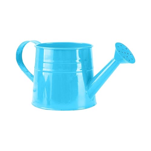 Regadera de 1 litro para niños, maceta de agua ligera de metal, mini hervidor de agua para bonsái, flores, maceta, hogar, patio, jardín, balcón, exterior e interior