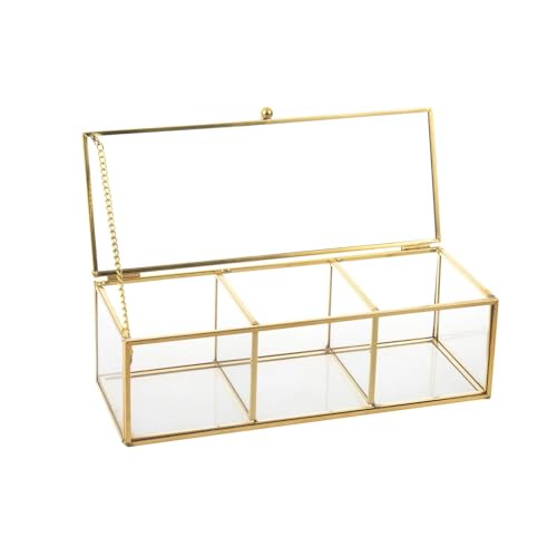Feyarl Gold Glass Tea Bags Box Sea Shell Display Organizer Cosmetics Countertop Canister Box Jar Storage Glass Jewelry Trinket Ring Earring Box Container for Girl Women Gift