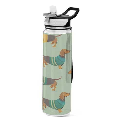 Burbuja Dog in Sweater 32 oz Water Bottle with Straw Lid, Leakproof & BPA Free Tritan Bottle for Gym Fitness Outdoor Sports