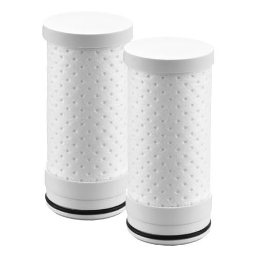 HOMELODY Élément filtrant pour purificateur d'eau - Filtre le chlore, les sédiments, la rouille, le calcaire - Réduit les bactéries, les métaux