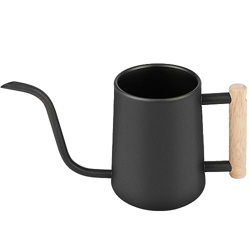 Regadera para interior de 1 l, acero inoxidable negro para planta...