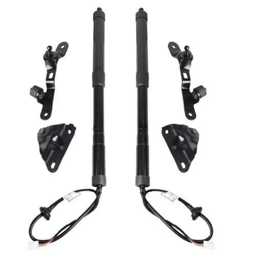 Support levage hayon électrique pour Lexus NX 200t 2015-2020