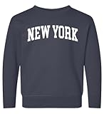 State of New York College Style White Fashion Toddler Fleece Crewneck Sweatshirt, Navy, 4T