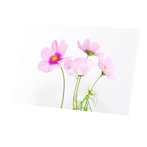 Toile imprimée fleur roses tableau déco mural salon moderne 90x60 cm blanc
