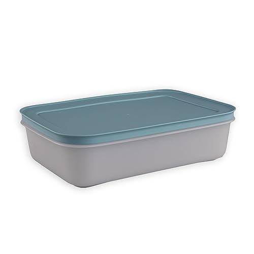 Tupperware Ghiaccio cristallo congelatore contenitore blu fumo 1,0 l piatto