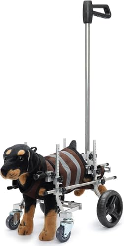 Adjustable Dog Wheelchair, Portable 4 Wheels Dog Support Walking Aid, Pet Standing Assisted Trolley, Helps Paralyzed Pets Walk, 8-20 Pound Capacity(Grey)