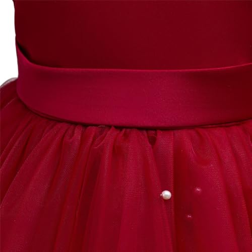 Dressy Daisy Baby Toddler Little Girls' Special Occasion Dress Wedding Pageant Flower Girl Birthday Party Gown with Pearl4