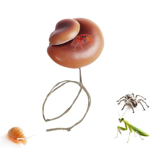 NP[X ANZT[,}Olbg I[ig - Ύ nGgO fR[V - ঒ J}L hJ  ȃybg ƒp p