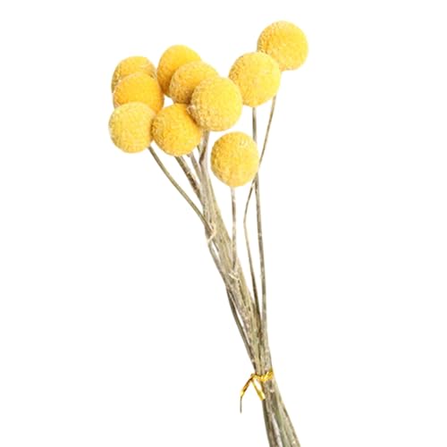 10 Flores Secas para Decoración Boho DIY miniatura 1