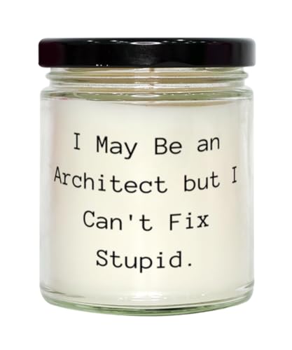 I May Be an Architect but I Can't Fix Stupid. Architect Scent Candle, Inspire Architect Gifts, for Coworkers from Friends