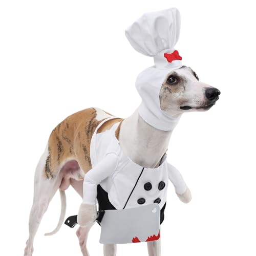 Disfraces de Halloween para perro, ropa de cosplay para perro, lindo disfraz ajustable espeluznante, suministros de fiesta para fiesta de gatitos, cosplay, festivales de vacaciones