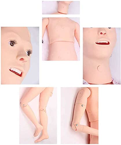 Mannequin de soins infirmiers 160 cm modèle anatomique complet