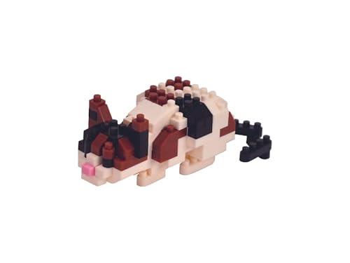 Pets & Blocks - Gato Calico | Mini Kit de Construcción (136 Piezas) - Set de Ensamblaje de Bloques para Niños y Adultos | Regalo Creativo | Modelo 3D de Mascota