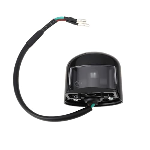 eMagTech Éclairage de plaque d'immatriculation LED à 2 broches pour scooter compatible avec Lexmoto Echo 50 2019-2025