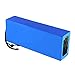 FREEDOH Batteria Bici Elettrica 60V 12Ah Batteria agli Ioni Litio 12000mAh per Moto Elettriche Ciclomotori Carrelli da Golf Scooter Adatta per Motore da 500W 1000W 1200W 1500W 1800W 2000W,T Plug