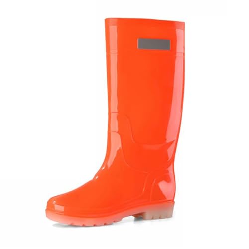 [CTN] Cu[c Y fB[X h J̓p Jp CV[Y 26.0 cm AEghA y ނ  ₷ fUC05 _炩 ʋ ʊw jZbNX