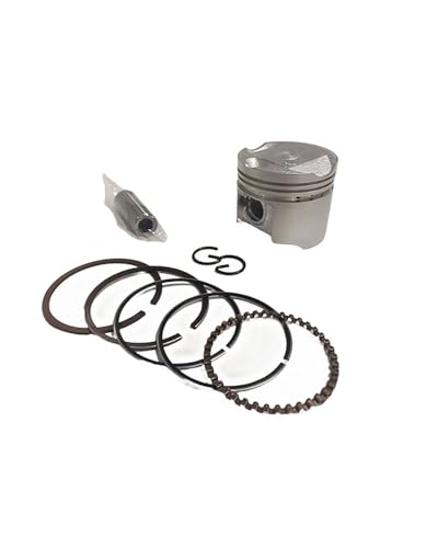 sXgLbg XYL `Cm50ALTZ50pAV_[a36mmAs10mmAA~sXg