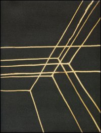 Hardcover Anthony Gormley Designi Drawings [Italian] Book