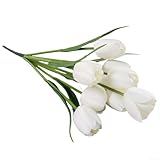 【Léger et doux】: le bouquet est léger et doux, ce qui permet un arrangement facile et un aspect naturel et délicat lorsqu'il est utilisé en vrac pour des expositions ou d'autres événements.