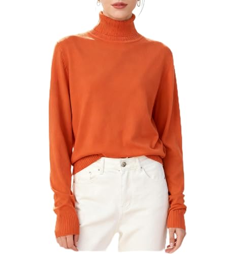 Image of DAIMIDY Turtleneck Sweaters for Women Long Sleeve Pullover Tops | Knitted Material| Soft, Warm and Breathable| High Resilience and Tensile Strength Design| Business Casual Tops| Dailywear
