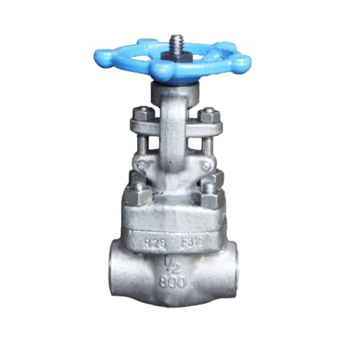 AF Hydro Stainless Steel SS316 Gate Valve, 3/4
