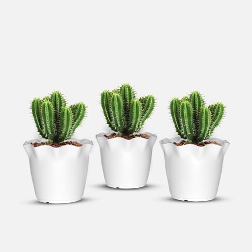 Image of YUCCABE ITALIA SHERA 6 Inch Plastic Flower Pot 3 Piece Set of Unbreakable Round Shape Planter for Home Garden Seedling, Indoor and Outdoor (White)