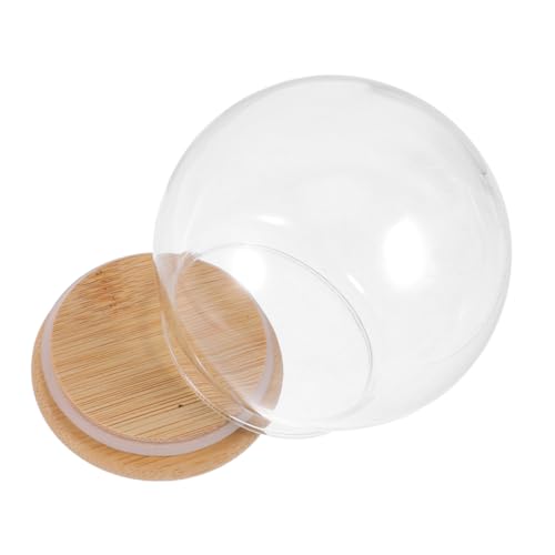 Cubierta protectora antipolvo de cristal transparente SAFIGLE 13cm 2