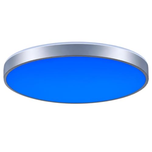 HOREVO LED Ceiling Light with Remote Control with...