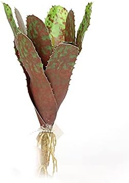 Artificial Plants 24cm Artificial Pineapple Succulents Plants Fake Tropical Cactus Plastic Desert Tree Plastic Sisal Leaves Plants For Desk Home Decorative Artificial Plants ( Color : S(24cm) A )