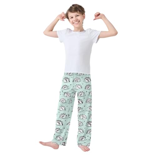 Boys' Pants Cute Simple Hedgehog Pattern Long Bottoms Jogger Pants Elastic Waist Trousers with Pockets S-XL2