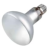 kenzoki rice Strahlt keine gefährliche nicht terrestrische UV-B-Strahlung ab