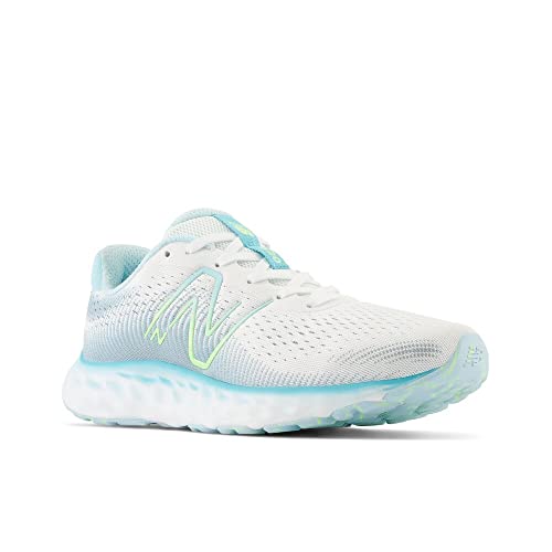 Image of New Balance Women's 520 V8 Shoes