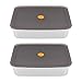 Navaris Stainless Steel Marinating Containers (Set of 2) - Metal Meat Marinade Container with Lid - Dishwasher Safe Food Storage 9.3