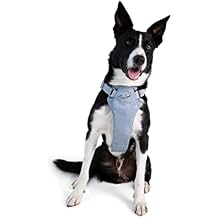 Diggs Dog Harness I Heavy Duty I Waterproof I Comfortable for All Puppies and Dogs I Safe Training & Walks Navy
