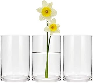 Glass Cylinder Vase 15cm/6 Inch High,3 Pack Clear Flower Vase for Home Decor,Candle Holder,Wedding Centerpieces and Floral Arrangements