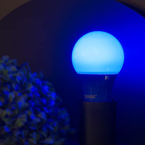 Taschibra 11080394, Lâmpada LED TKL Colors, 5 W, Azul